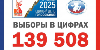 ОКОЛО 140 ТЫСЯЧ ЮЖНОУРАЛЬЦЕВ ПРОГОЛОСУЮТ ДИСТАНЦИОННО - Избирательная комиссия
