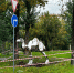 В центре Челябинска появился двухметровый зеркальный верблюд - КП Челябинск