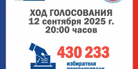 ЯВКА ИЗБИРАТЕЛЕЙ НА 20:00 - Избирательная комиссия