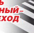 На территории Челябинской области стартует профилактическая акция «Пешеход» - ГИБДД