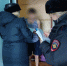 JPG Файл - ГУ МВД Челябинской области