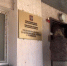 В Челябинске начали допрашивать мать убитой пятилетней девочки - Вечерний Челябинск