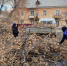 img - ЛДПР