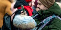 Каждый третий южноуралец сталкивается с трудностями в поиске работы - Полит74