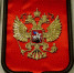 Челябинский депутат Госдумы помогла сохранить кресты на гербе России - Вечерний Челябинск