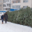 Челябинские полицейские проверят ёлочные базары по всему городу - Pchela.News