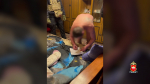 Южноуральскими полицейскими задержана банда вымогавшая деньги у бойца СВО
