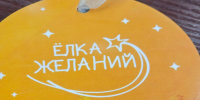 В Челябинской области стартовала всероссийская акция «Ёлка желаний» - Главное управление юстиции
