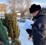 Полицейские раскрыли 150 преступлений за сутки в Челябинской области - Вечерний Челябинск