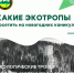 Новогодние каникулы – отличное время для путешествий! - U74.Ru