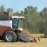 Минсельхоз России: господдержка АПК в 2025 году составила 665 млрд рублей - Министерство сельского хозяйства