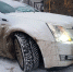 Какой водитель Cadillac не любит быстрой езды? - УФССП по Челябинской области