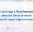C 2019 года в Челябинской области более 11 тысяч детей-сирот обрели семьи - Министерство социальных отношений