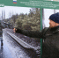 Жизнь за лентой. Продолжение. - U74.Ru