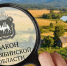 Важные изменения в региональном законодательстве для многодетных семей - Министерство имущества
