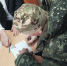 JPG Файл - ГУ МВД Челябинской области