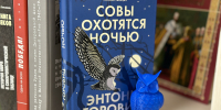 Библиотека «Точки удивления» ко Дню книгодарения направит посылку с литературой в Ясиноватую - Министерство культуры