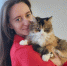 «Удалось укротить строптивую»: бездомная кошка из Челябинска нашла любящую хозяйку - Pchela.News