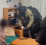 В Челябинске на подростка завели уголовку за оправдание терроризма - 31TV.RU