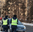 В Челябинске пьяный автоугонщик чуть не сбил пешехода на переходе - Южноуральская панорама