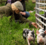 agrostartap_0503_sayt.jpg - Центр Мой бизнес