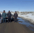 JPG Файл - ГУ МВД Челябинской области