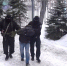 В Челябинской области силовики задержали ОПГ из 20 человек - Южноуральская панорама