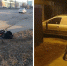 За сутки два подростка на скутере и питбайке пострадали при ДТП в Челябинске - Pchela.News