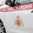 На Южном Урале росгвардейцы задержали по горячим следам подозреваемого в грабеже - Росгвардия