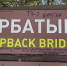 Вандалы испортили указатели в популярном нацпарке Челябинской области - Pchela.News