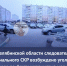 В Челябинской области следователем регионального СКР возбуждено уголовное дело по факту непринятия мер к организации отлова безнадзорных собак - Следственный комитет