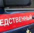 В Челябинской области стая безнадзорных собак напала на 11-летнего мальчика - Агентство новостей Доступ