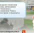 В мессенджере МАХ работает чат-бот «СтопГраффити – Челябинская область» для борьбы с уличной рекламой наркотиков - Министерство образования
