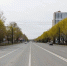 Челябинцам рассказали, как ремонтируют одну из главных дорог города - Pchela.News