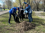 «Всероссийский субботник» прошелся по всему городу!
