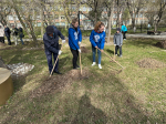 «Всероссийский субботник» прошелся по всему городу!