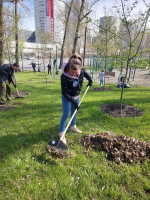 Сотрудники Главного управления помогли навести порядок в сквере около ТРК Родник, Изображение.