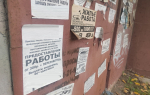 В Челябинской области зафиксировали рекордный интерес к дополнительному заработку
