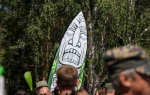 Налегли на отдых: в Челябинской области в разы выросла аренда сапбордов и велосипедов