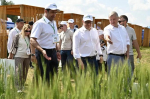 На Южном Урале стартовал региональный «День поля — 2026»